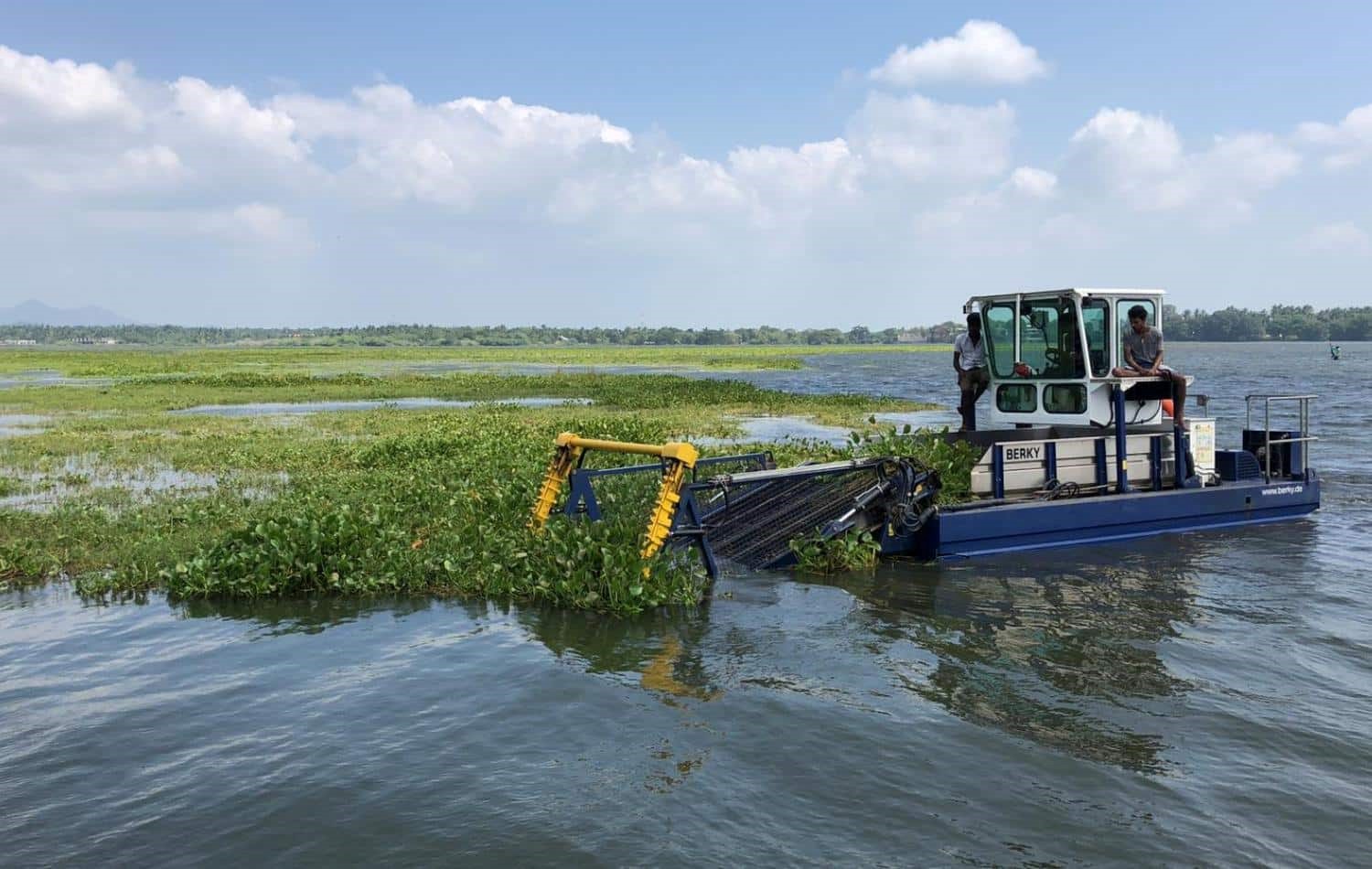 BERKY TRITON 550 AMPHI